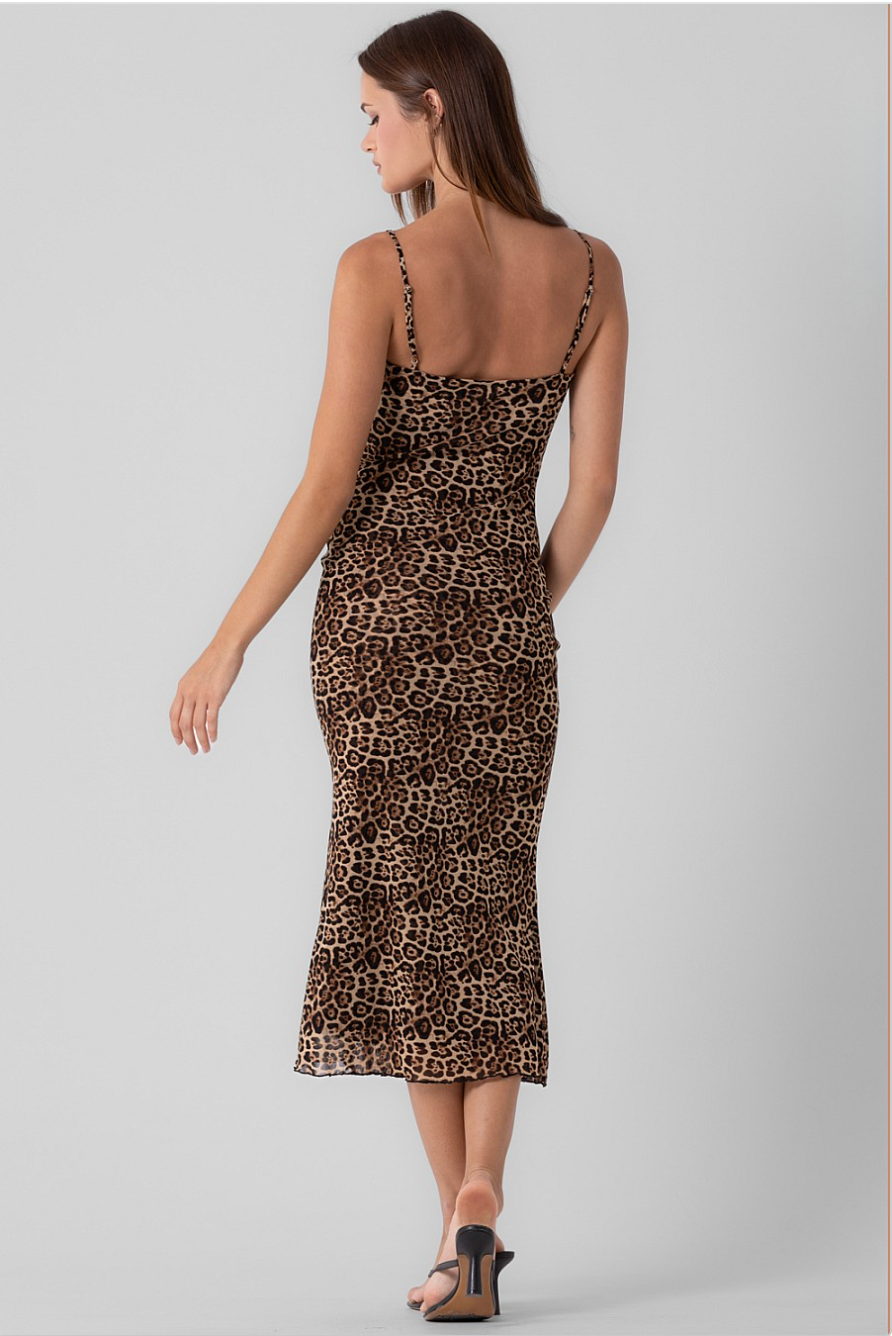 Magnetism Leopard Mesh Slip Dress With Lace Trim