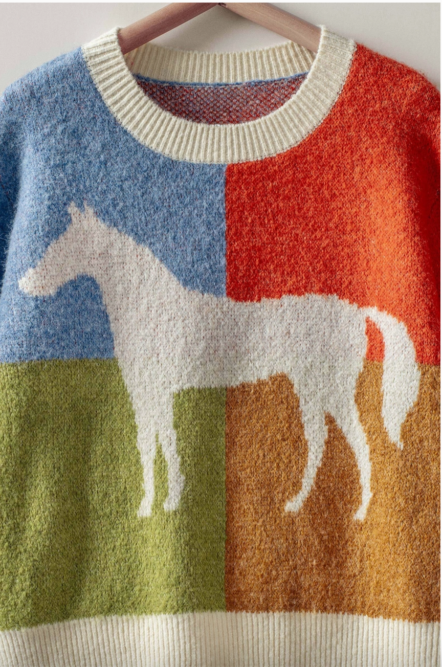 Running in The Wilderness Color Block Sweater